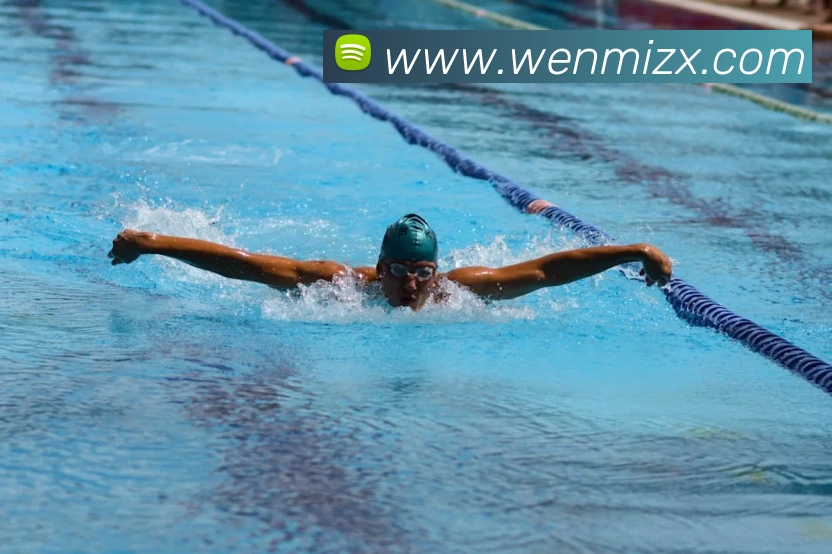 App Interface Preview