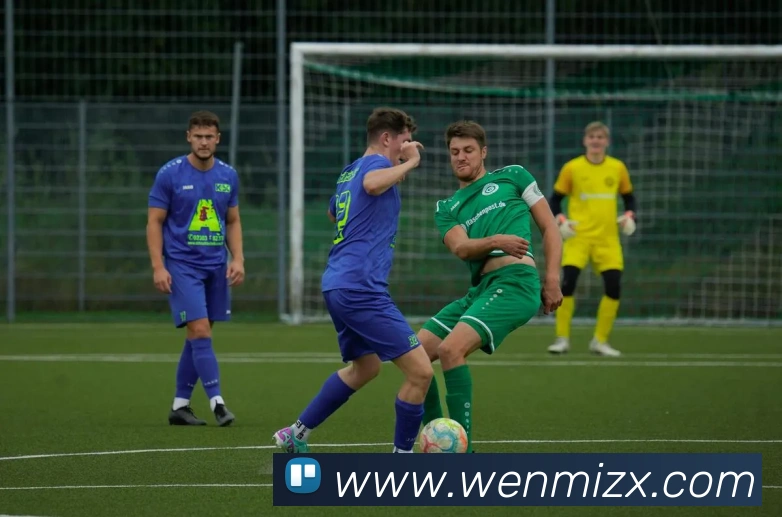 ky体育官网app登录入口APP 封面图